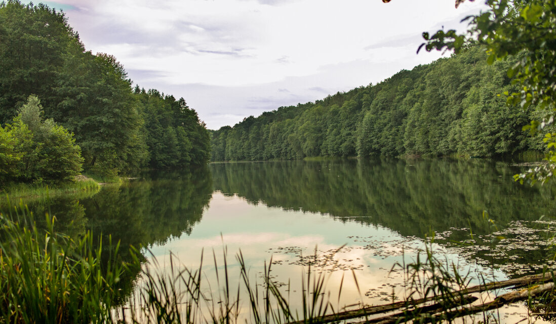 Ruhige Feldlandschaft mit Abendhimmel