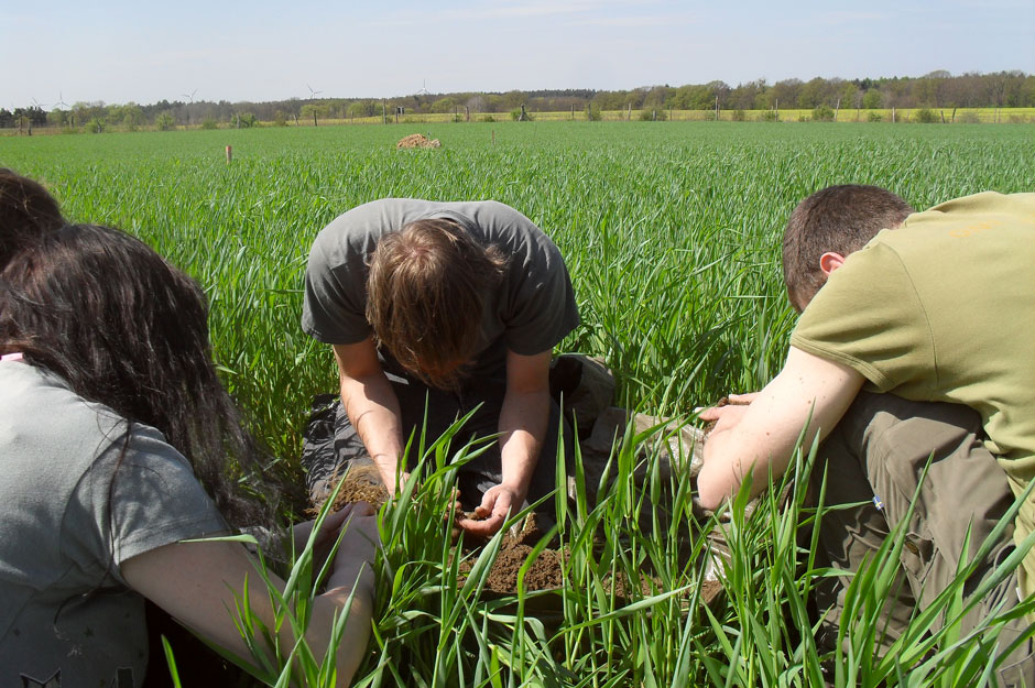 Agrarstudenten auf biologisch bewirtschaftetem Weizenfeld